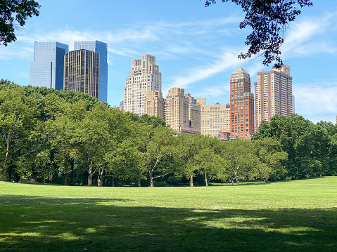 New York City skyline with Central Park