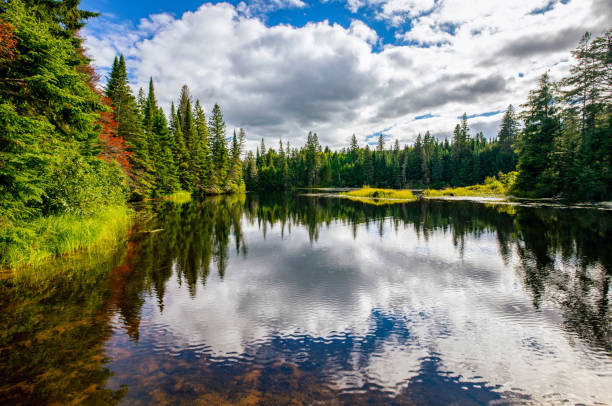 istock Lake of Two Rivers, Algonquin Provincial Park, Summer Day 1464909990