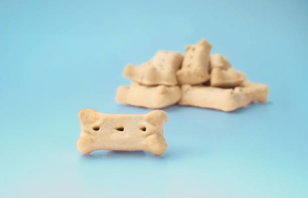Dog milk-bone biscuits on blue background. stock photo