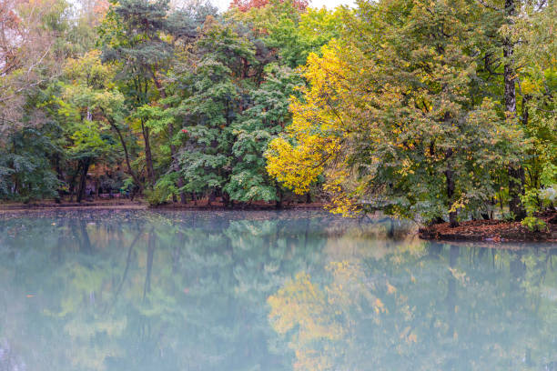 istock A small pond in a city park in summer. 1464915675