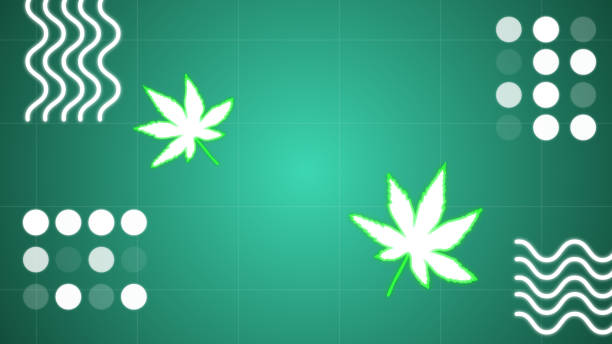 istock Simple leaf and flower funky background in 4K 60fps. Retro style background. 1464918093