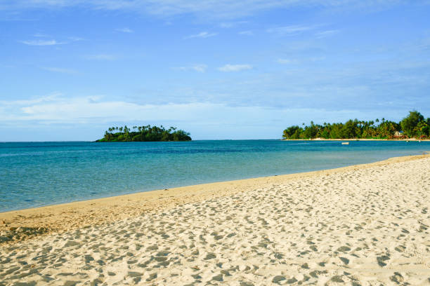 istock Beach  background with small palm covered off-shore island from under palms on beach 1464922251