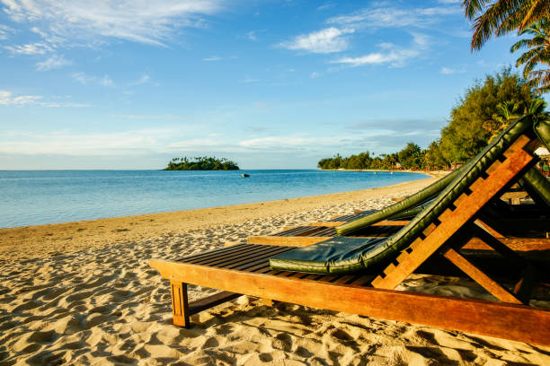 istock Empty Loungers lined up on tropical beach 1464922543