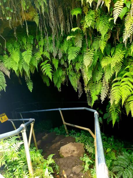 Road to Hana Lava Tube Entrance Lava Tube along road to hana hana coast stock pictures, royalty-free photos & images