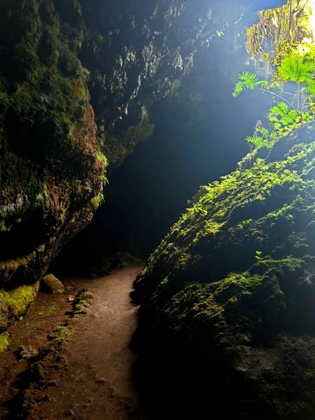 Road to Hana Lava Tube Sunrays shining into Lava Tube hana coast stock pictures, royalty-free photos & images