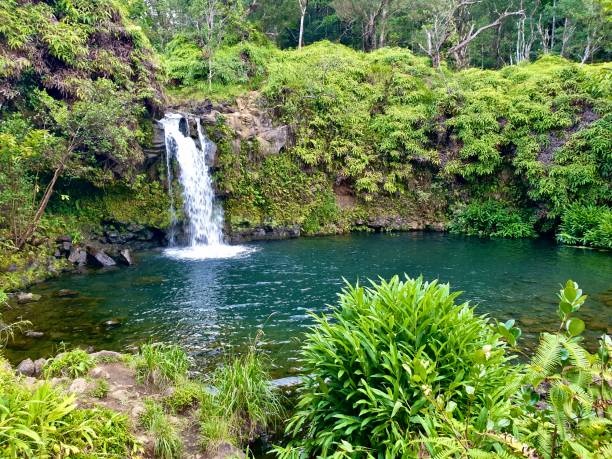 istock Road to Hana waterfall 1464932656