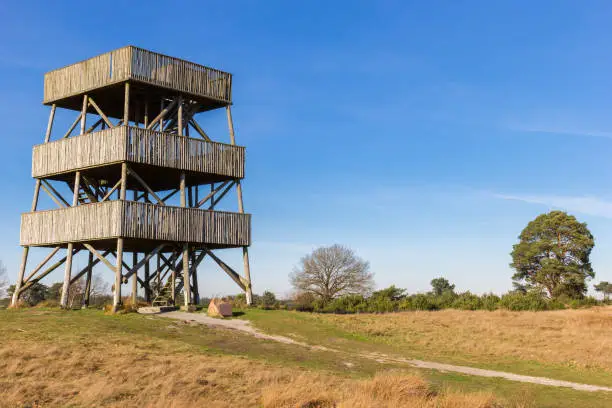 Wooden lookout tower in national park Drents Friese Wold, Netherlands