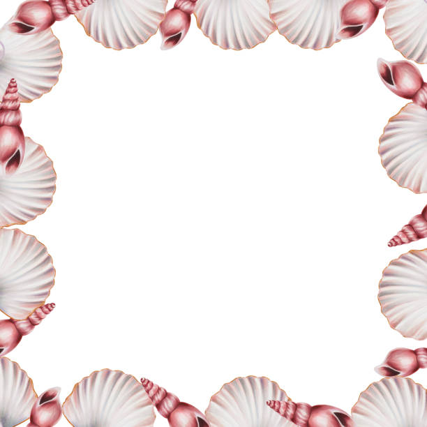 Nautical Shell Border 220+ Nautical Border Clip Art Pictures Illustrations, Royalty-Free ...