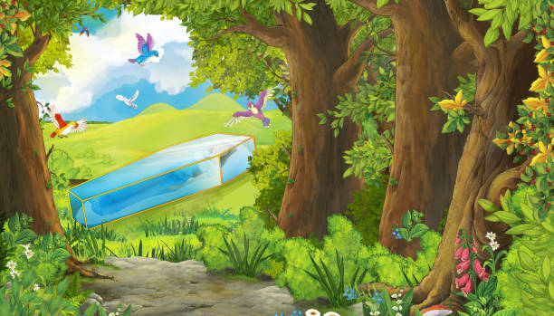 illustrations, cliparts, dessins animés et icônes de dessin animé scène d’été avec prairie dans la forêt avec des oiseaux volant avec illustration de boîte en verre pour enfants - nobody tranquil scene nature park