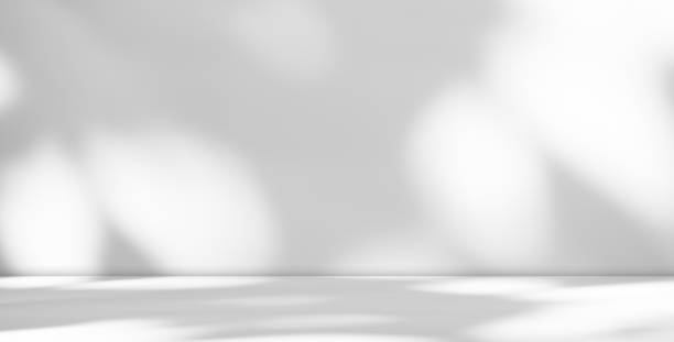 istock Shadow Plant Background,Abstact Pattern Texture Overlay White Sun light Leaves on Table Wall,Design Interior Room Template Mockup for Presentation Product 1464935516