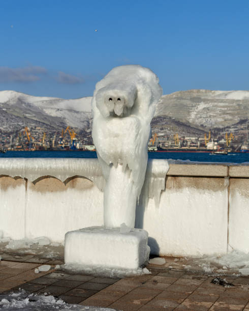 istock icy embankment 1464937391