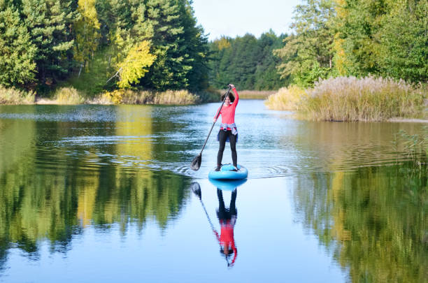 donna attiva che pagaia tavola sup sul bellissimo lago, paesaggio forestale autunnale e natura sullo sfondo, stand up paddling avventura acquatica all'aperto, sport e concetto di stile di vita sano - paddleboard oar women lake foto e immagini stock