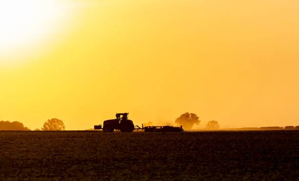 istock Tractor silhouette at sunset in a field , golden sky background 1464951412