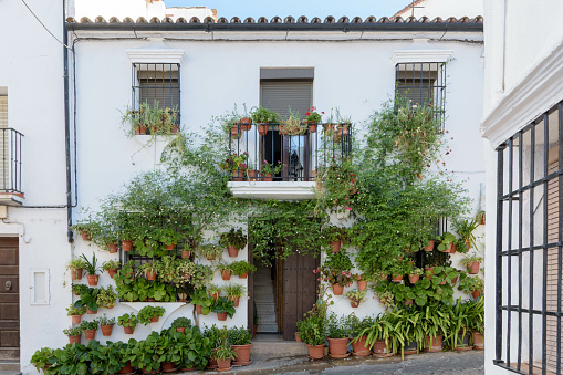 A house decorated with beautiful potted plants under the sunlight in Grazalema, Spain