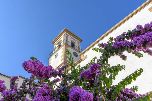 Low-angle shot of an old tower with clock in Grazalema village, Spain with lilacs on the foreground A low-angle shot of an old tower with clock in Grazalema village, Spain with lilacs on the foreground grazalema stock pictures, royalty-free photos & images