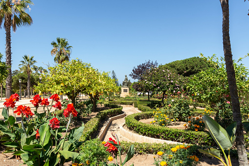 The green garden with flowers and trees in the La Rabida Monastery in Huelva