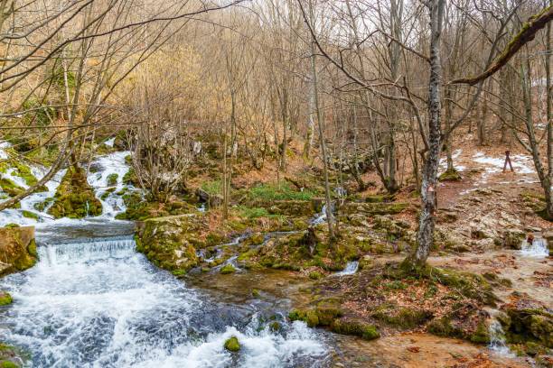 istock Flowing creek among mossy edges and leafless trees in a forest 1464953852