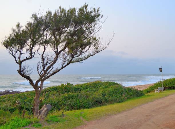 istock Beautiful seascape on a cloudy day 1464954201