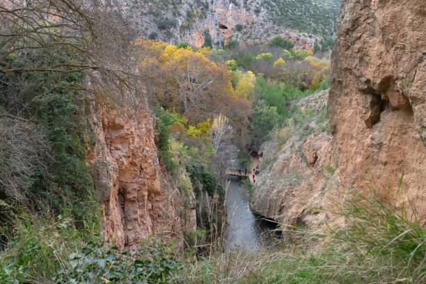 istock Beautiful shot of a river flowing between rough forested cliffs in Zaragoza, Spain 1464954214