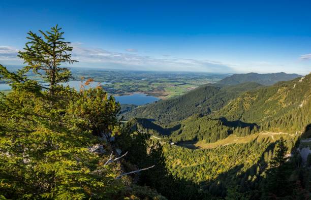 istock Aerial view of mountain landscape surrounded by dense trees 1464955841