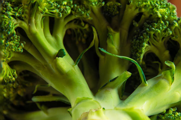 A macro of a green, tasty broccoli head