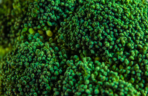 A macro of a green, tasty broccoli head