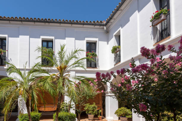 plantas que crecen en un acogedor patio, monasterio de la rábida en huelva - huelva province fotografías e imágenes de stock