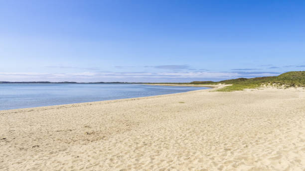 istock Empty calm white sand beach under the clear blue sky 1464961405
