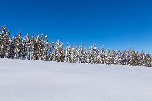 Idyllic winter landscape in Austria with clear blue sky and powder snow