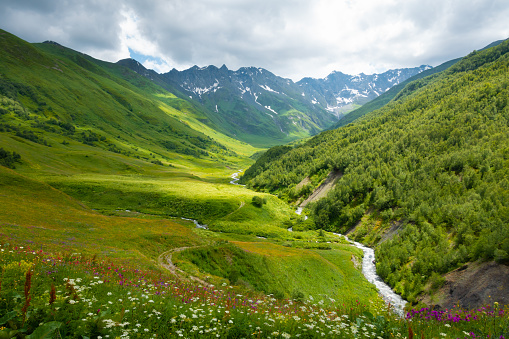 The beautiful meadow valley and an rivulet of Svaneti region, Georgia, in spring