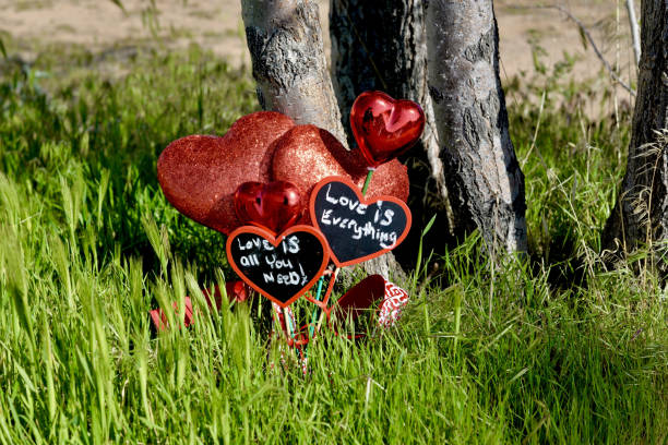 istock Composition with hearts of different sizes in the greenery under the trees 1464967827
