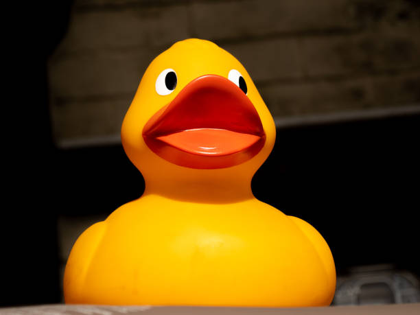 istock rubber duck in the sunshine 1464969992
