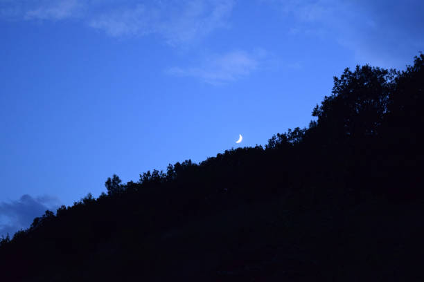 красивое голубое ночное небо с силуэтом деревьев на горе - diagnal стоковые фото и изображения
