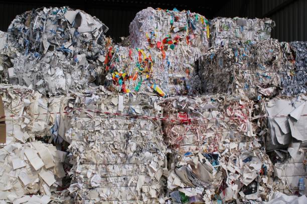 istock Wastepaper compact texture pile for recycling on sorting plant. Technology of reuse materials. Stack of shredded paper 1464972766