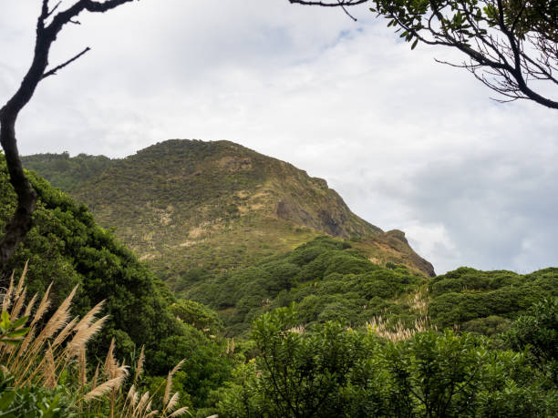 istock Hikurangi Takatu head mountain at Piha 1464973202