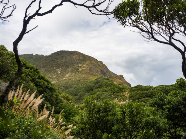 istock Hikurangi Takatu head mountain at Piha 1464973205