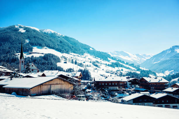 ripresa ravvicinata di case di legno sullo sfondo della foresta innevata ad alpbach, tirolo, austria. - european alps flower north tirol holiday foto e immagini stock