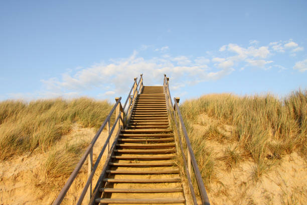 istock Wooden stairs surrounded by sand dunes and grass 1464973841