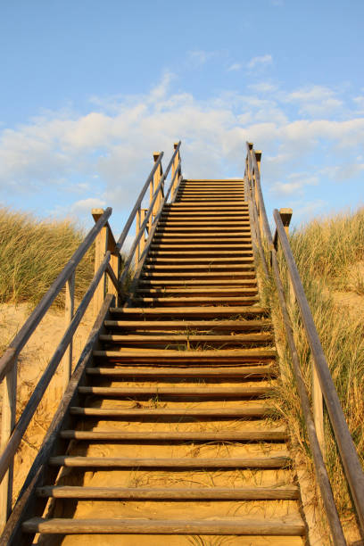 istock Wooden stairs surrounded by sand dunes and grass 1464973851
