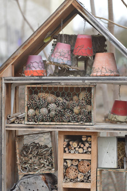 istock Wooden house for insects and bees (vertical format) 1464974701