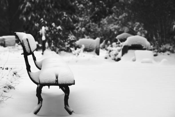 Winter scenery at Valley Forge National Historic Park, King of Prussia, Pennsylvania, USA