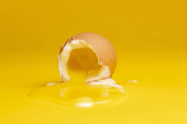 istock Studio food still life concept against an even colorful backdrop. 1464977090