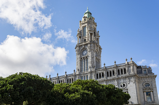 A Porto City Hall. Old building with tower and clock. Pine trees in the foreground. Blue sky with clouds. Porto, Portugal.