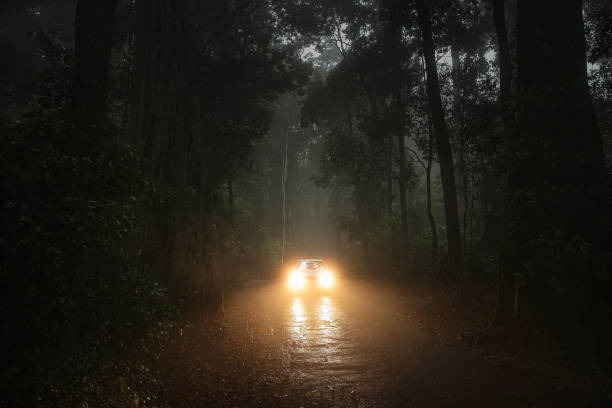 istock Car driving through a forest with its headlights on 1464980342