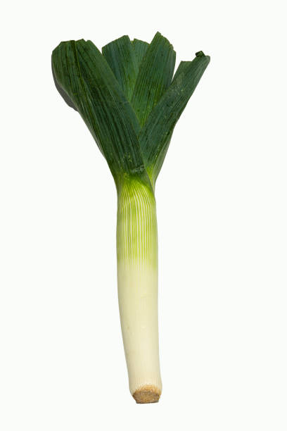 istock Fresh leek isolated on the white background 1464980497
