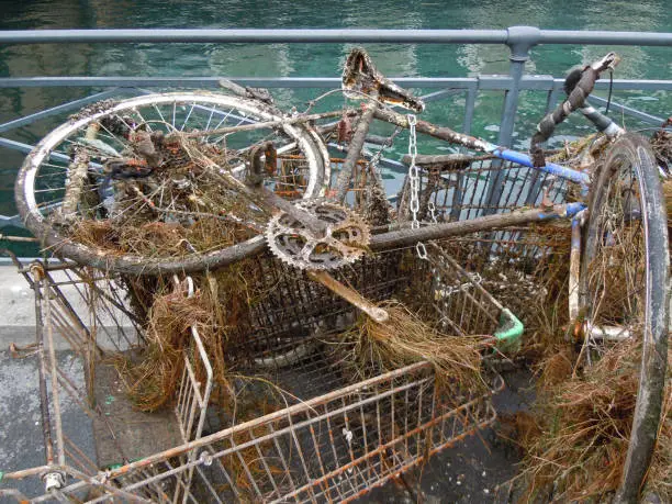 Rubbish : rusty bicycles and caddies taken out of the water (closeup)