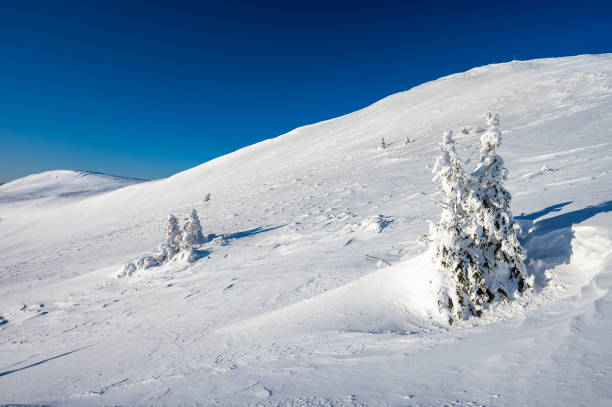 istock Mount Szeroka Wierch, Bieszczady National Park, Poland. 1464982449
