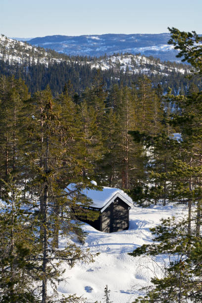 istock Small house among pine trees in Redalen, Norway during winter 1464983166