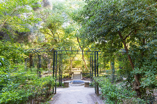 Landscape with overgrown pergola in National garden of Athens in Greece in the center of the city