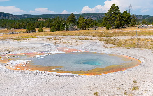 Hot geothermal spring at the Upper Geyser basin. Orange thermophile bacteria mats. Yellowstone National Park, Wyoming, USA.